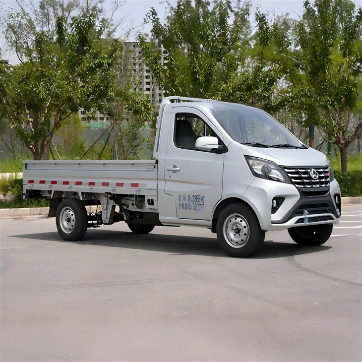 Mini Truck