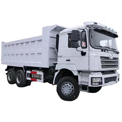 F3000 DUMP TRUCK